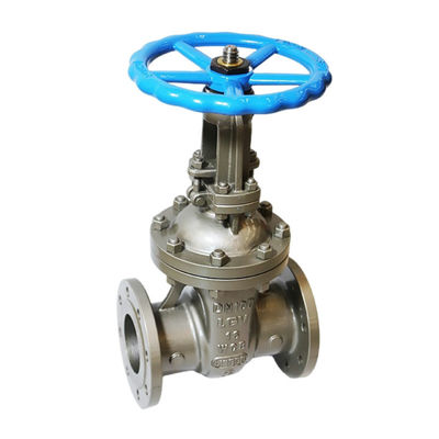 Y-type DN80 PN16 Carbon Steel Industrial Rising Stem Flange Gate Valve met buisbehang