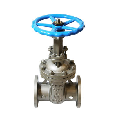 Y-type DN80 PN16 Carbon Steel Industrial Rising Stem Flange Gate Valve met buisbehang
