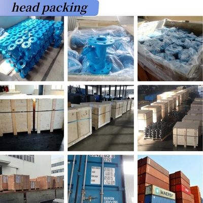 Epoxy-gecoate dubbele vlinderklep met een pneumatische actuator